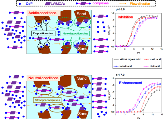 说明: D:\Henan University\scientific research\paper\Cd transport (organic acid)\response\first\2\TOC\新建 Microsoft PowerPoint 演示文稿.tif